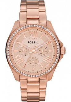 Fossil AM4483