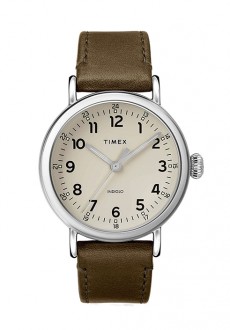 TIMEX TW2T20100
