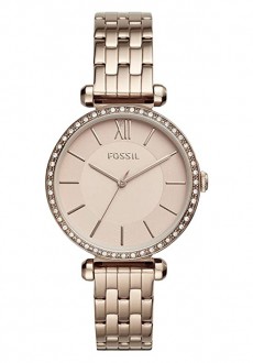 Fossil BG3601