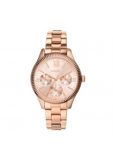 Fossil BQ3691